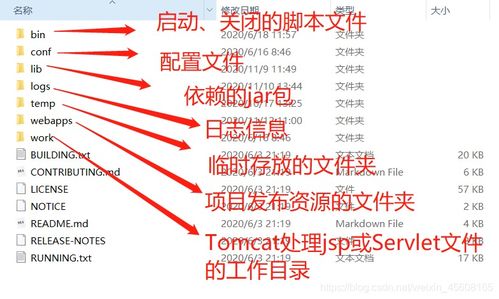 Web服務器技術 通信信號技術推廣服務的核心引擎